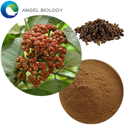 What is Evodia Rutaecarpa Fruit Extract?